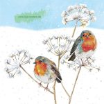 Rotkehlchen – Edition Gollong