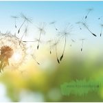 Löwenzahn – Edition Gollong