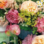 Sommerblumen – Edition Gollong