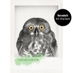 Eule – Tushita PAPERART