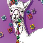 illi – MUS – nobis design