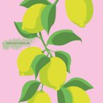 luminous – Lemons – nobis design