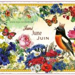 MONATS-EDITION, JUNI – JUNE – JUIN (QUER)- Edition Tausendschön PK1027