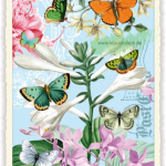 SCHMETTERLINGE (O.T.) (HOCH)- Edition Tausendschön PK915