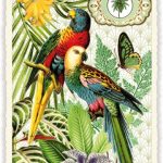 PAPAGEIEN (O.T.) (HOCH)- Edition Tausendschön PK917