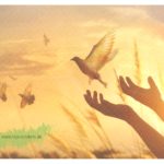 Freiheit (Friedenstauben) – TAURUS Kunstkarten